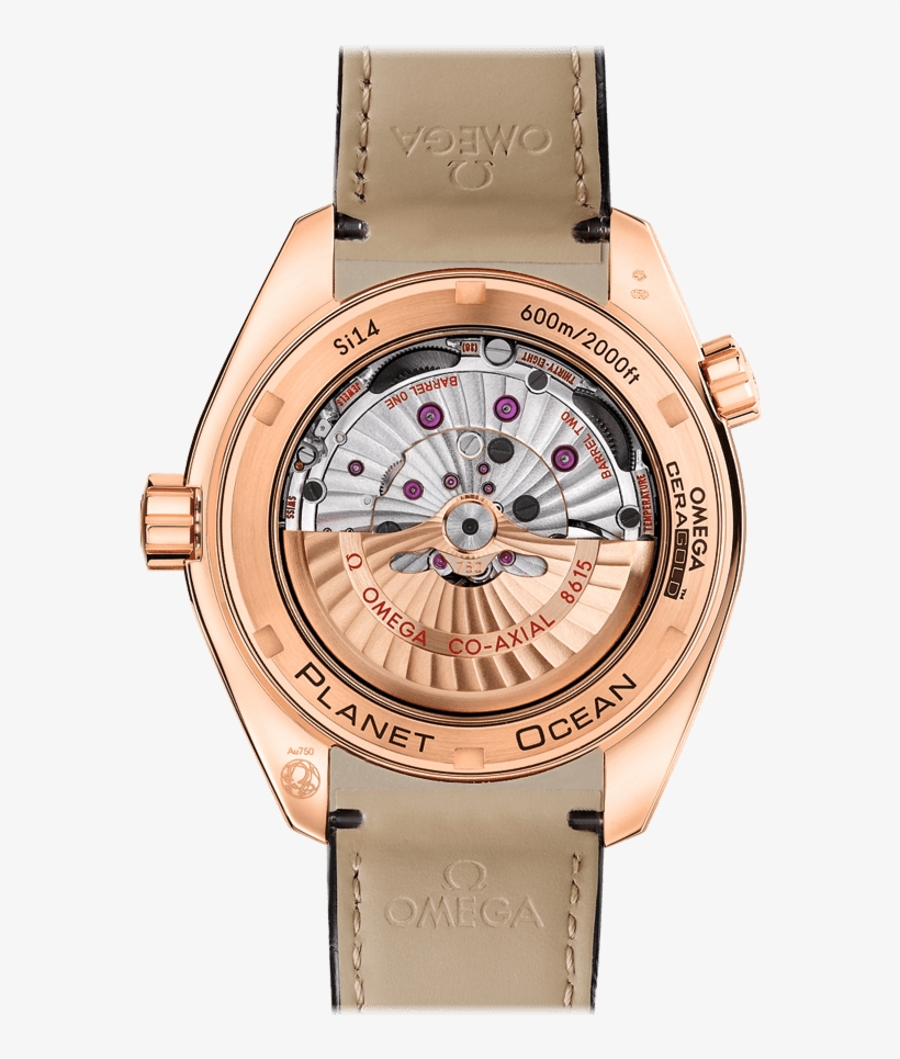 Planet Ocean 600m Omega Co-axial Gmt, transparent png download