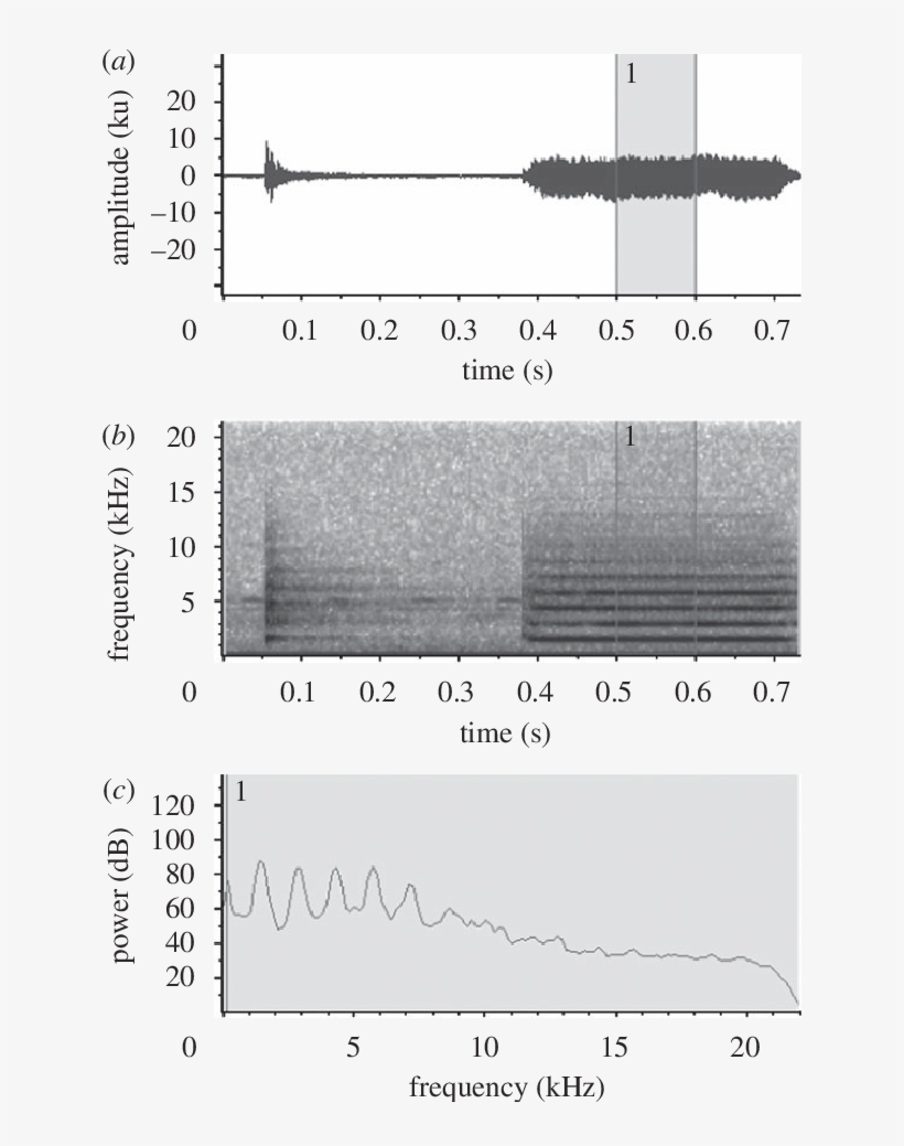 Waveform, (b) Spectrogram And (c) Power Spectrum Of, transparent png download