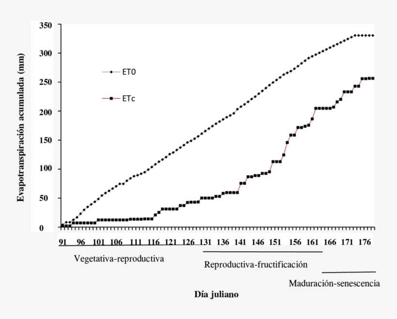 Evapotranspiracin Acumulada De Etc Y Et0 En El Cultivo, transparent png download