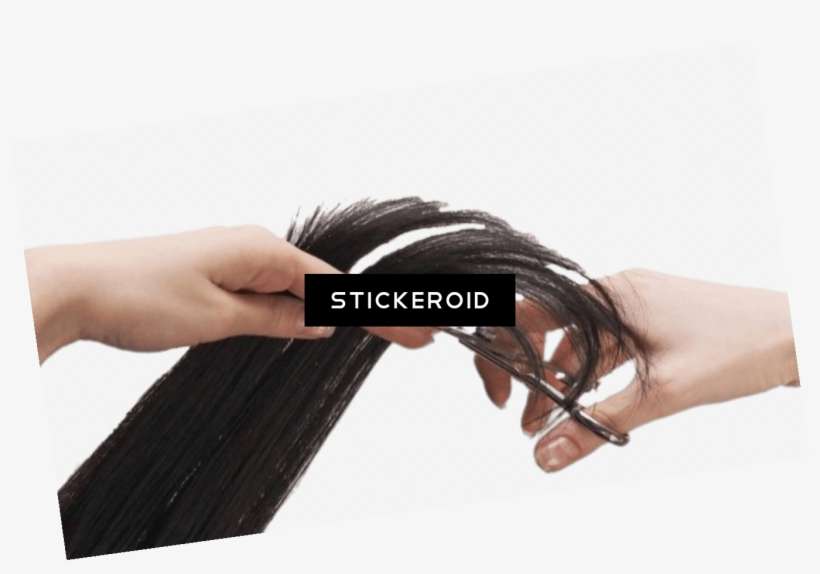 Hair Cutting PNG Image Transparent PNG Free Download on SeekPNG