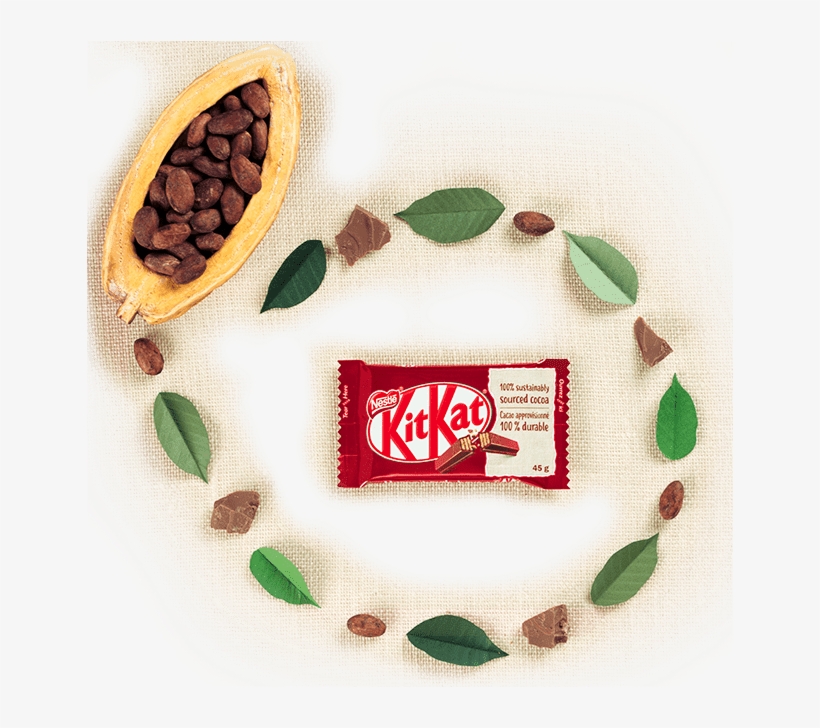 Learn About Our Commitment To Sustainable Cocoa Farming, transparent png download