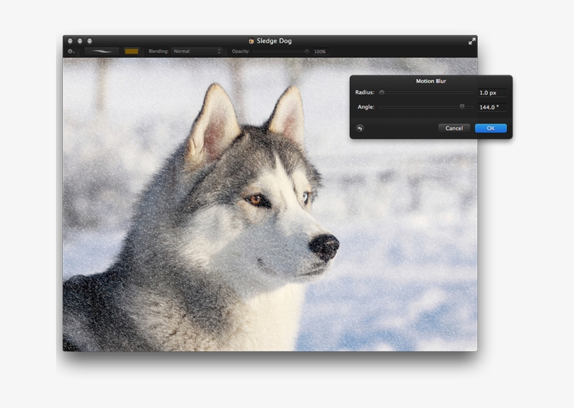 To Add A Motion Effect To The Snow, Double-click The, transparent png download