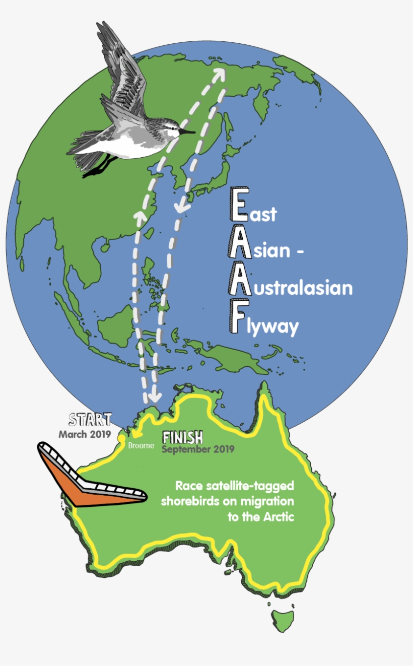 75 Stages, transparent png download