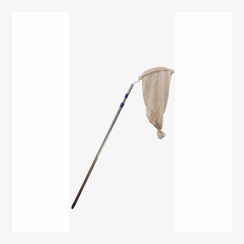 Swarm Catcher PNG Image | Transparent PNG Free Download on SeekPNG