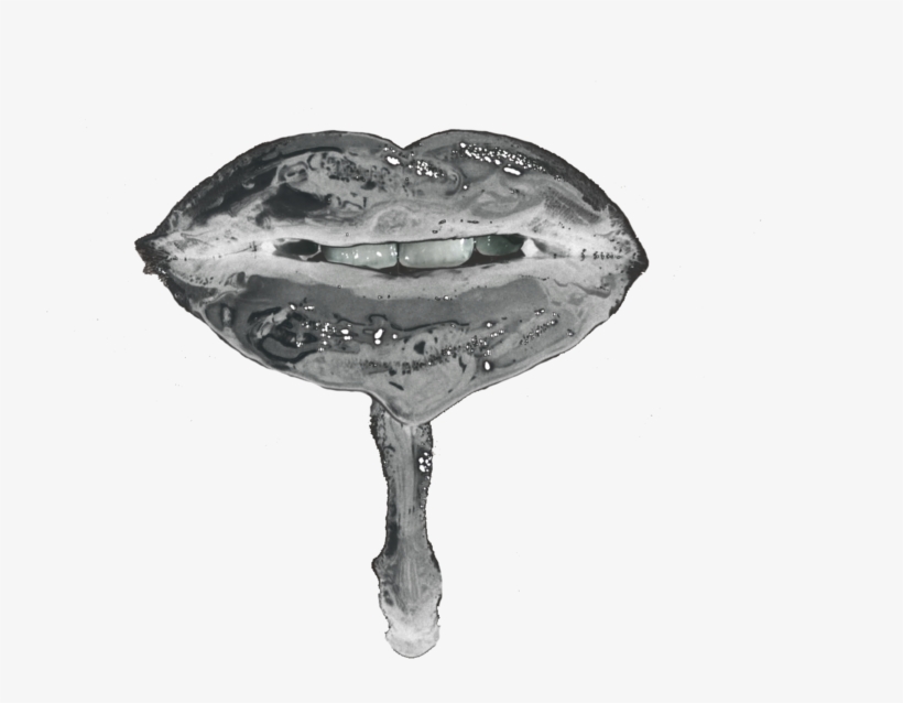Normani Lip Chrome, transparent png download