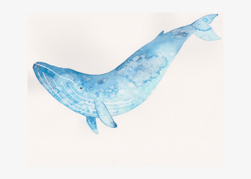 Blue Whale Art, transparent png download