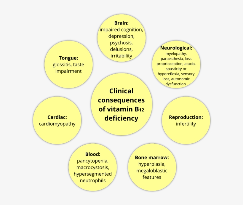 Descriptionurl="http - //2017 - Igem - Org/file - B12, transparent png download
