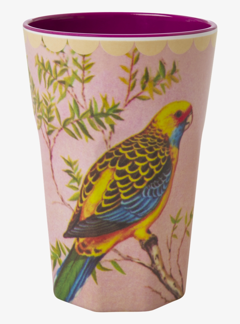 Vintage Budgie Print Tall Melamine Cup Rice Dk, transparent png download