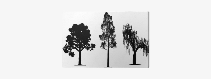 Oak, Forest Pine And Weeping Willow Tree Canvas Print - Tree Silhouettes, transparent png download
