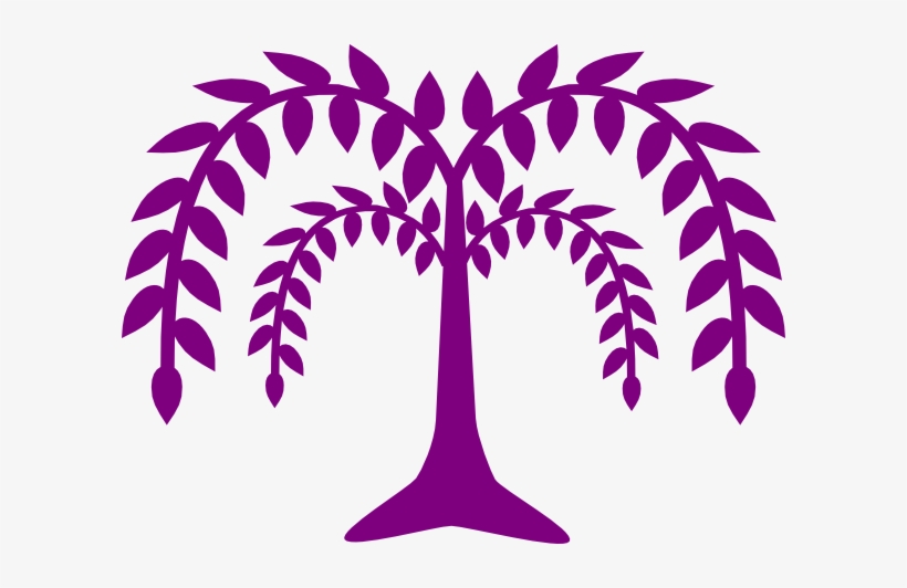 Optimized - Weeping Willow Clip Art, transparent png download