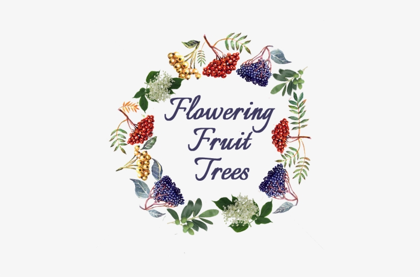 Fruit Trees For Small Gardens - Fruit, transparent png download