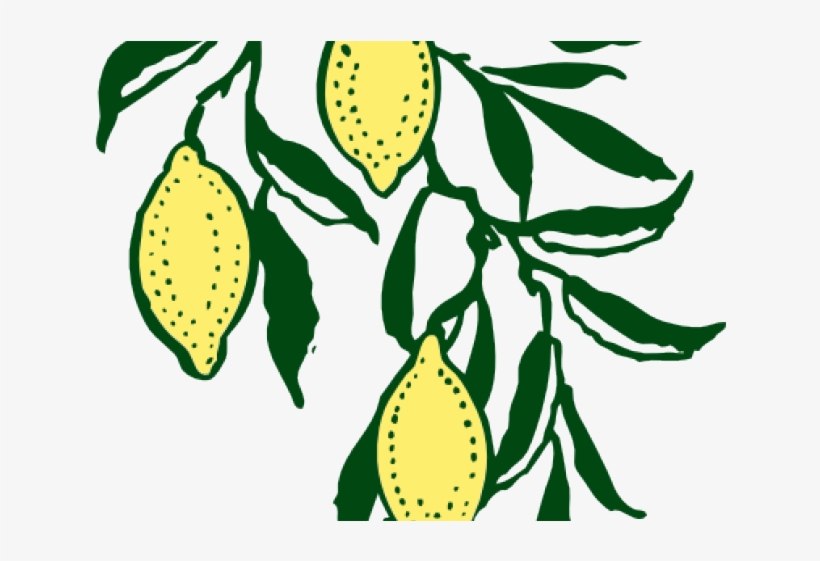 Free On Dumielauxepices Net Vine - Clipart Free Tree Lemon, transparent png download