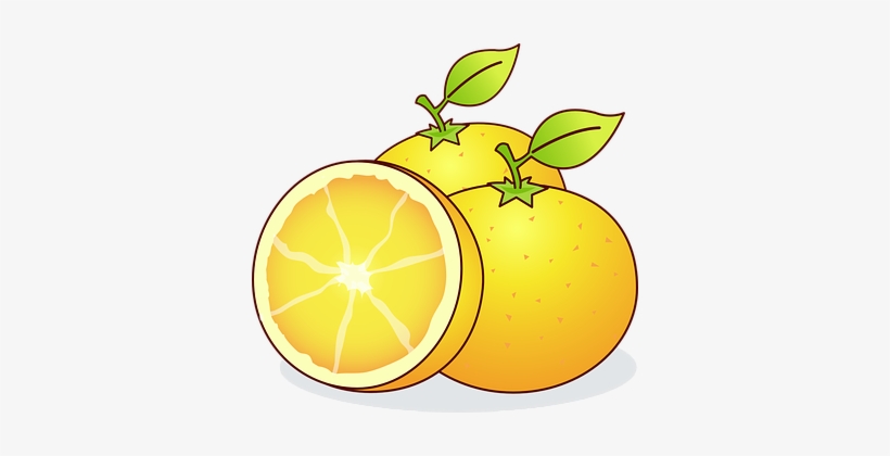 Oranges Bahia Orange Citrus Sinensis Citru - Desenho De Laranja, transparent png download