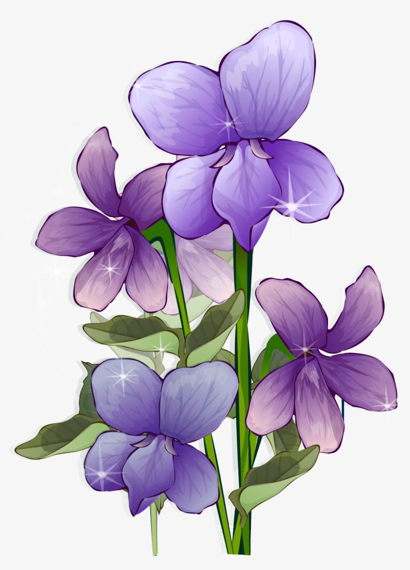 Download Big Image - Beautiful Flower Photo Frames In Full Hd, transparent png download