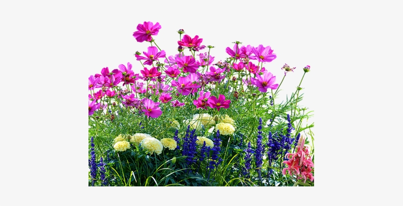 Hearts Like Wildflowers - Grass With Flower Png, transparent png download