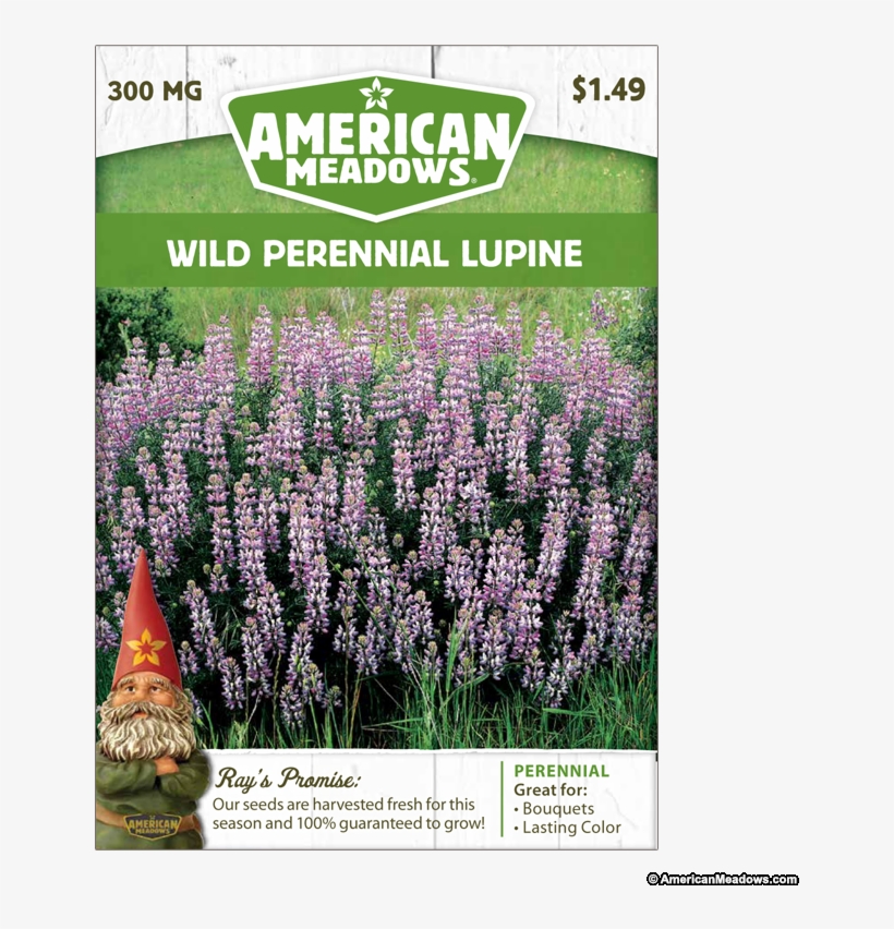 Welcome To Wildflowers Collection - Shrub, transparent png download