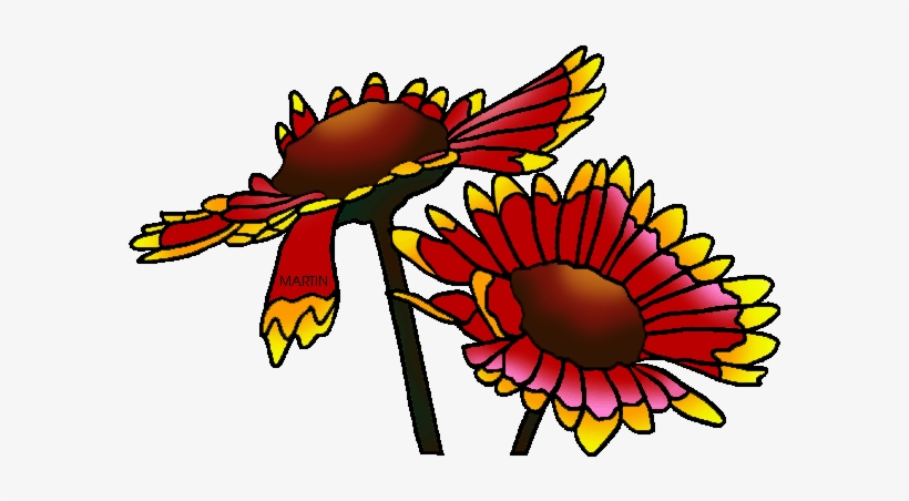 State Wild Flower Of Oklahoma - Indian Blanket Flower Clipart, transparent png download