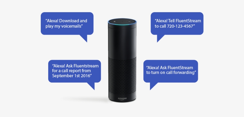Not Only Can Alexa Tell You How To Win Your Very Own - Ask Alexa, transparent png download