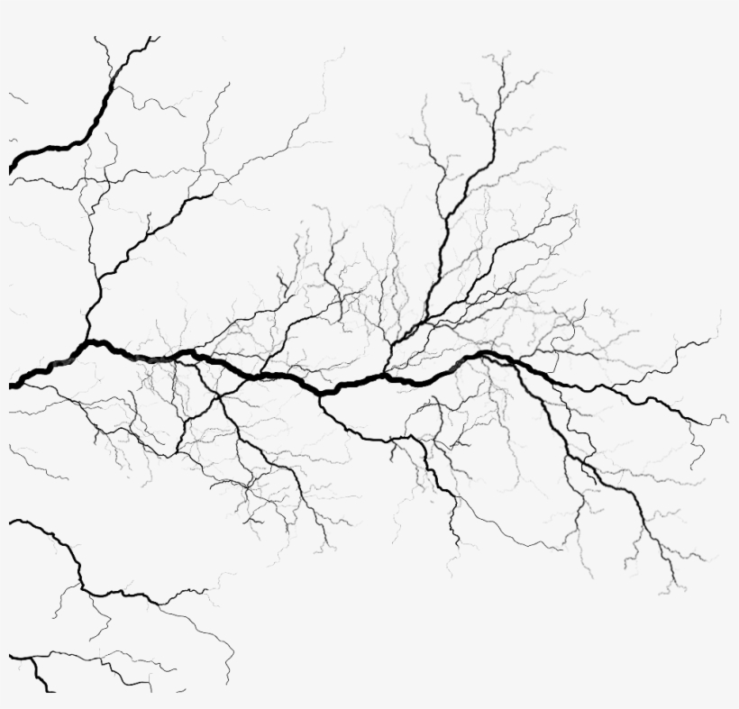 Veins - Veins Black And White, transparent png download