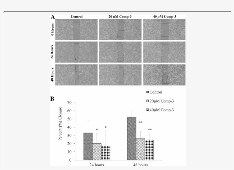 A Anti Migration Potential Of Compound 3 At 20 And - Cell, transparent png download