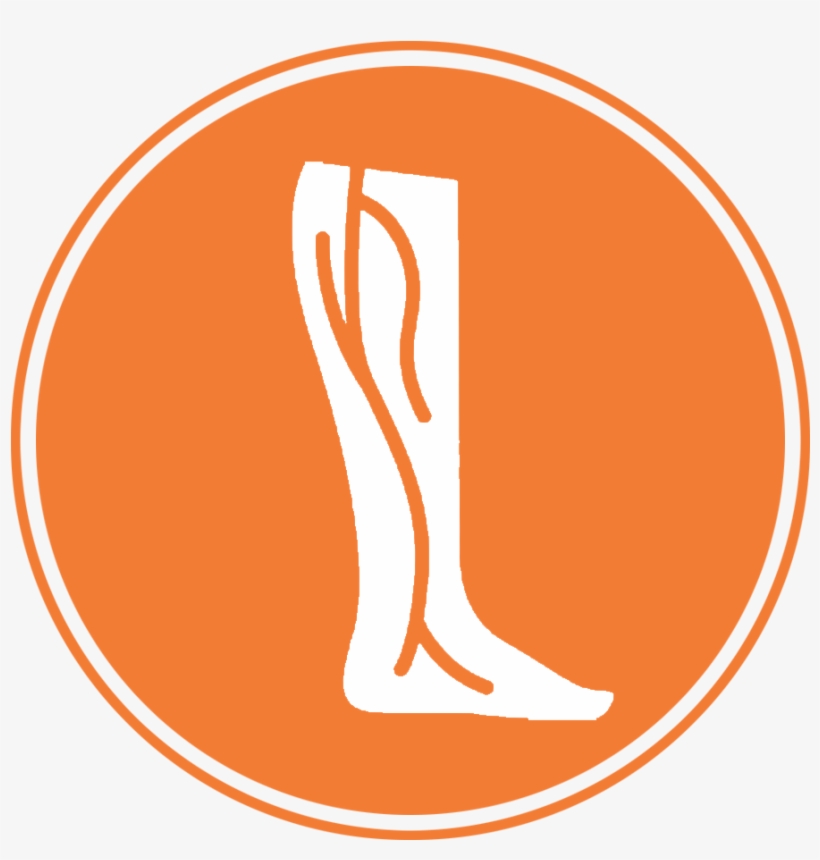 Triglycerides - Electrelane No Shouts No Calls, transparent png download