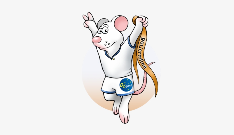 Gogermline Is The Winner - Cartoon, transparent png download