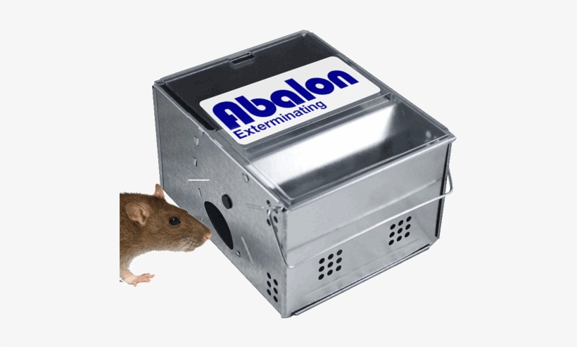 Abalon Begins With A Complete Inspection Of All Areas - Kness Knes5 Ketch All Clear Lid, transparent png download