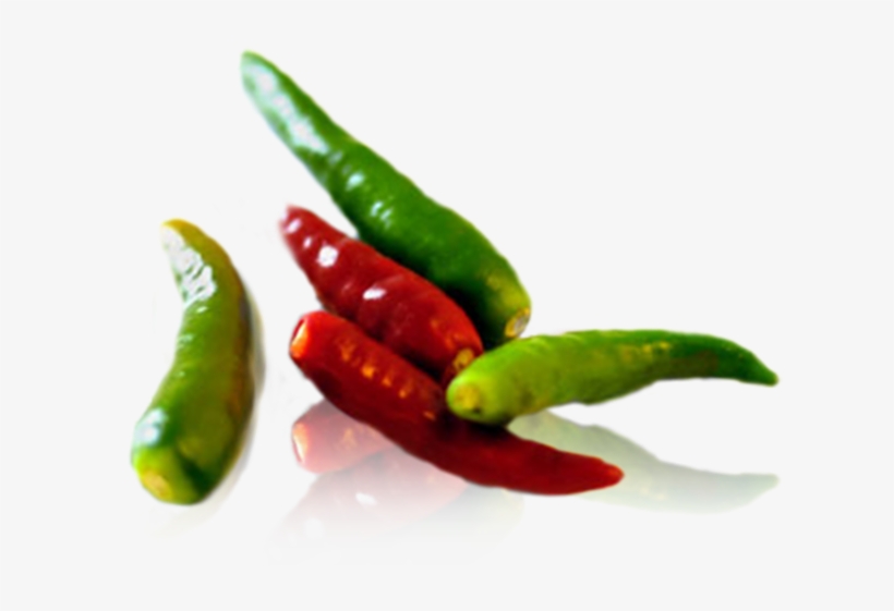 Gallery Small Thai Birds Eye - Bird's Eye Chili Png, transparent png download