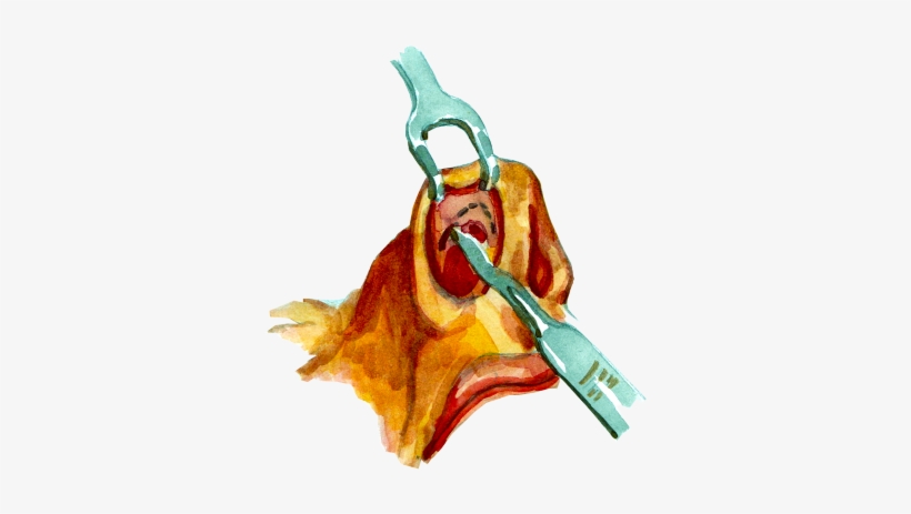 Viksraitis, Viksraitis - Sv Plastinės Chirurgijos Centras, transparent png download