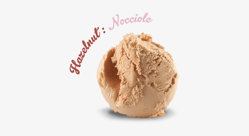 hazelnut hazelnut ice cream scoop png image transparent png free download on seekpng hazelnut hazelnut ice cream scoop png