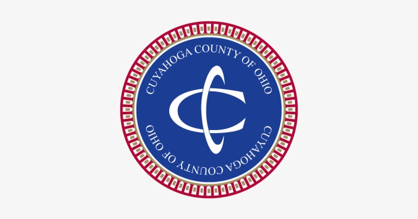 Pay For Success To Transform Human Services Delivery - Turntable Strobe Disc 50hz, transparent png download