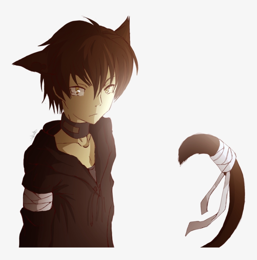 Cat, transparent png download