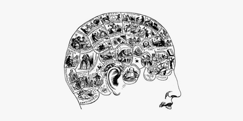 Svg Freeuse Library What Is Moral Psychology - Brain Fart: Discover Your Flawed Logic, Failures In, transparent png download