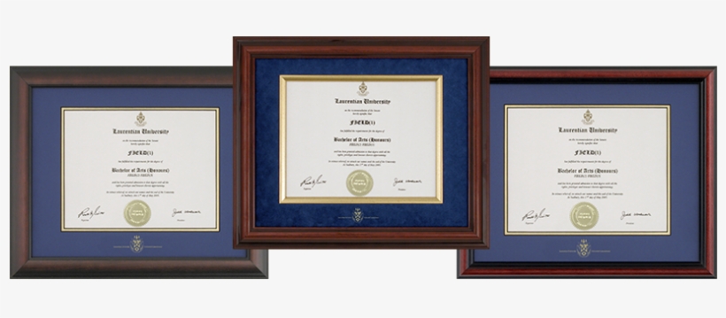 Tempo Framing, transparent png download