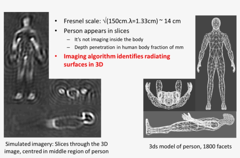 Arts Simulation Radiometric Three Slices Through 3d Radiometric Image Simulation PNG Image ...