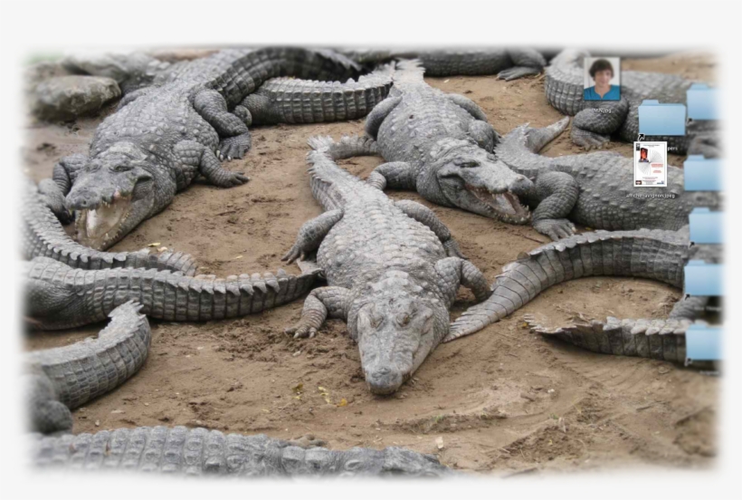 10 Aug 2013, transparent png download