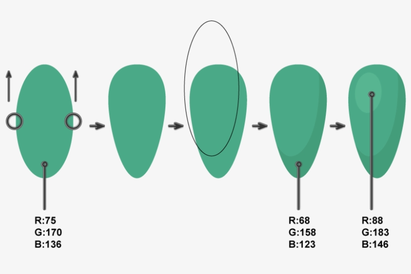 Drawing Cactus Small, transparent png download