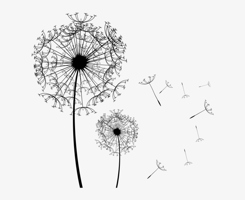 Diente De León Png, transparent png download