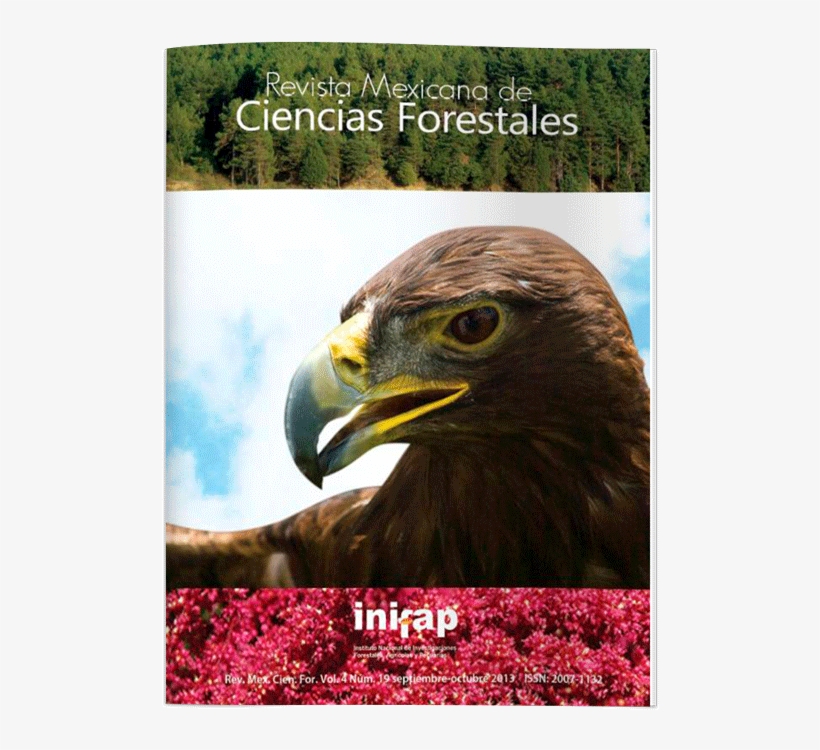 Guía De Densidad Para Manejo De Bosques Naturales De, transparent png download