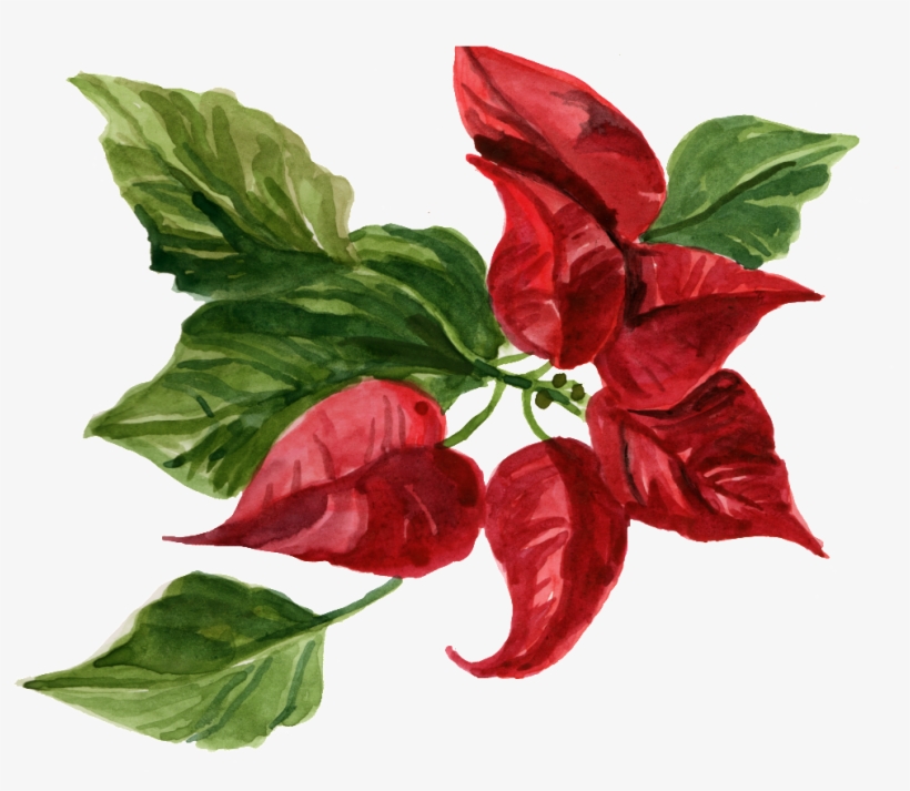 Este Gráficos Es Transparente Png Ornamental Para La, transparent png download