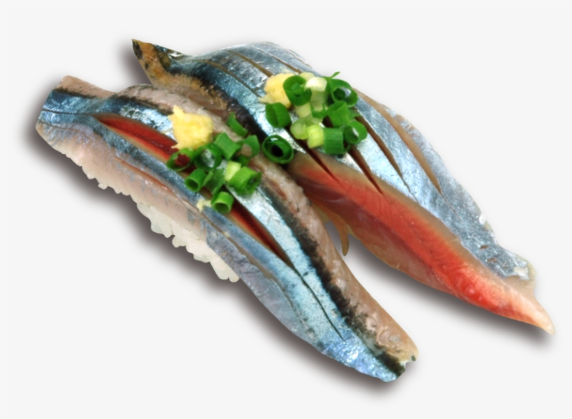 Maguroya ), transparent png download