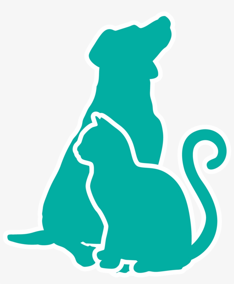 Datos De Contacto, transparent png download