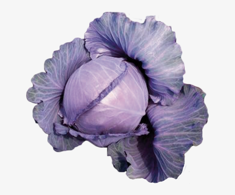 Haga Una Pregunta Sobre Este Producto, transparent png download