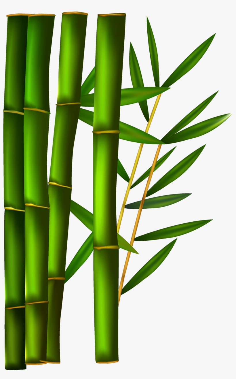 Green Bamboo Png Clipart Library - Bamboo Back Ground Vector, transparent png download