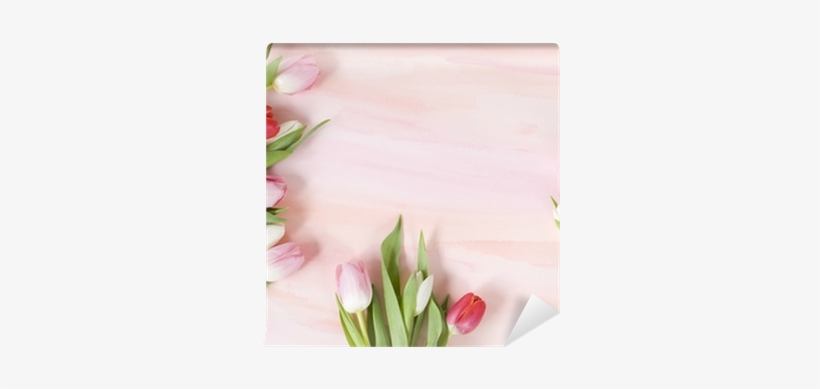 Tulips On Pastel Watercolor Background For Spring Wall - Rose, transparent png download