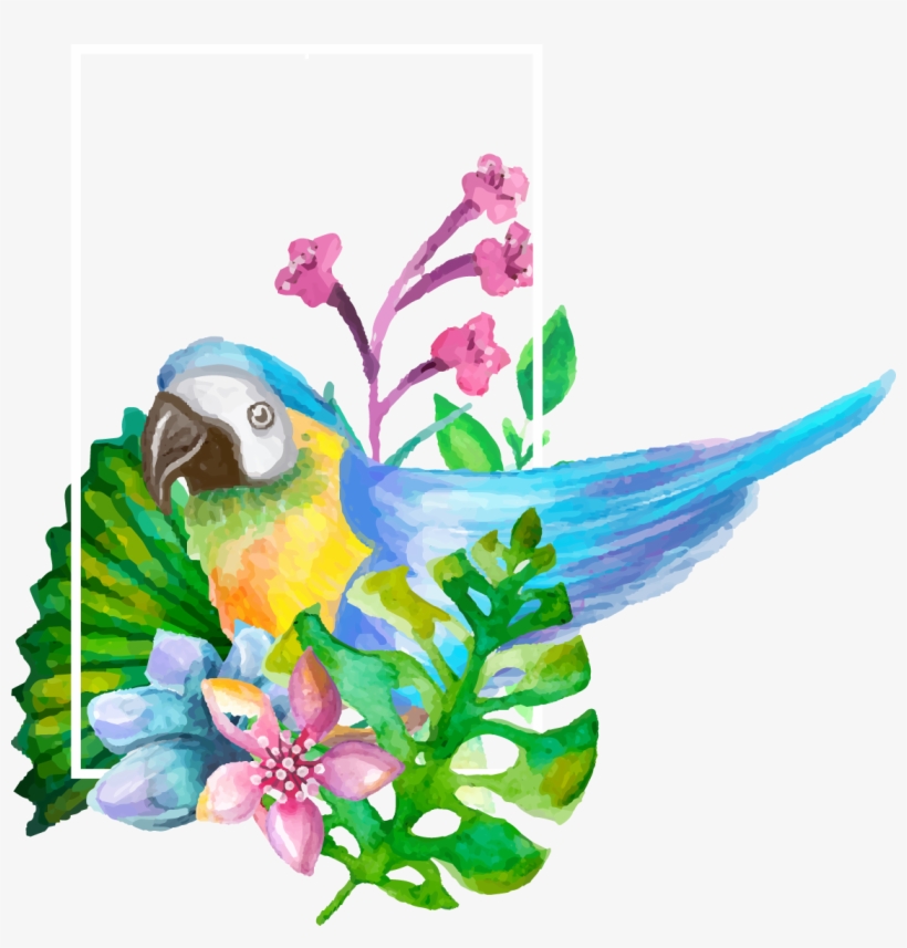 Picture Royalty Free Library Cilantro Drawing Watercolor - Drawing, transparent png download
