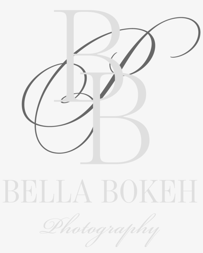 Bella Bokeh Photography, transparent png download
