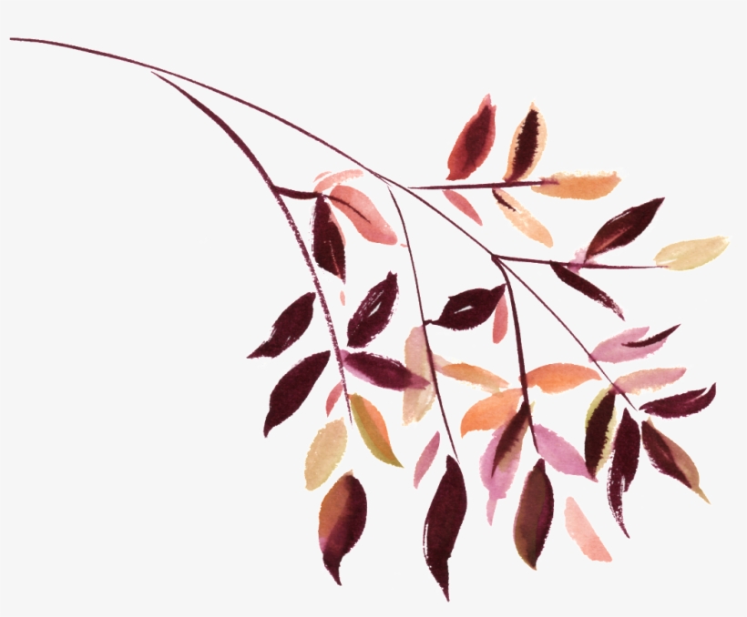 This Graphics Is Watercolor Leaf Vector About Watercolor, - Ernte-hochzeits-gast-einzelkarte Karte, transparent png download