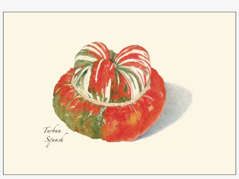 Shopping Cart -  -  - Colored Pencil, transparent png download