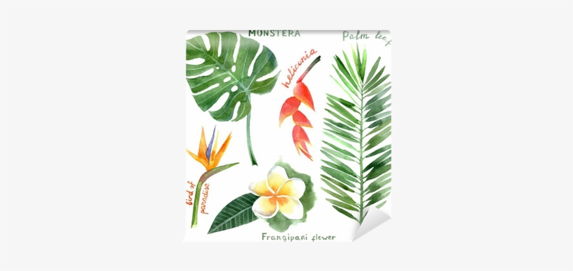 Multi Tassel Hoop Earrings, transparent png download